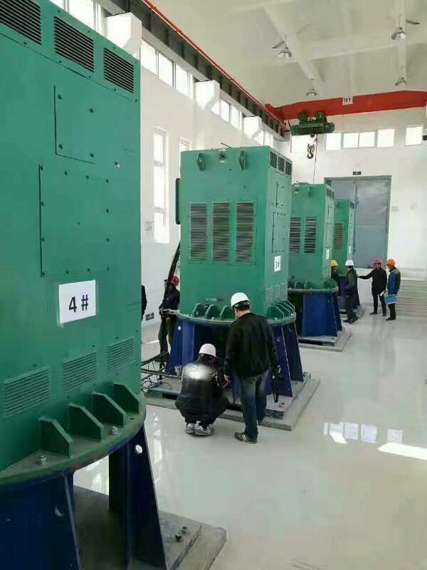 洋县某污水处理厂使用我厂的立式高压电机安装现场